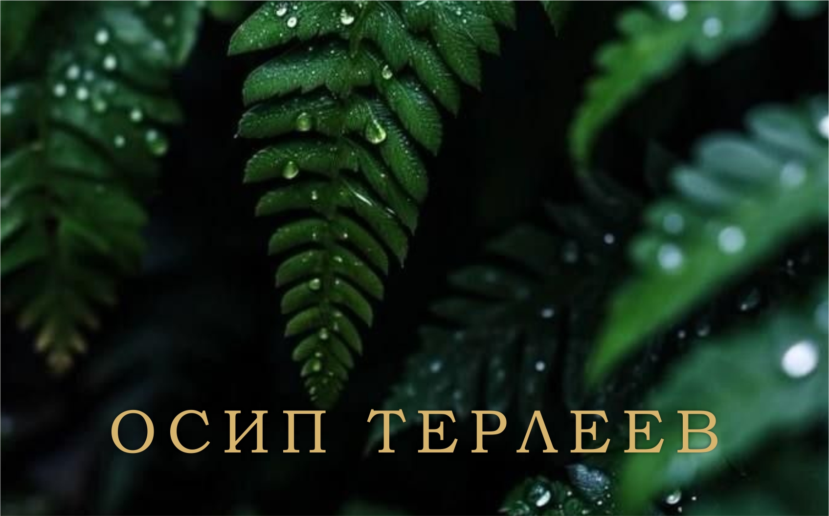 Дизайн сертификата 3